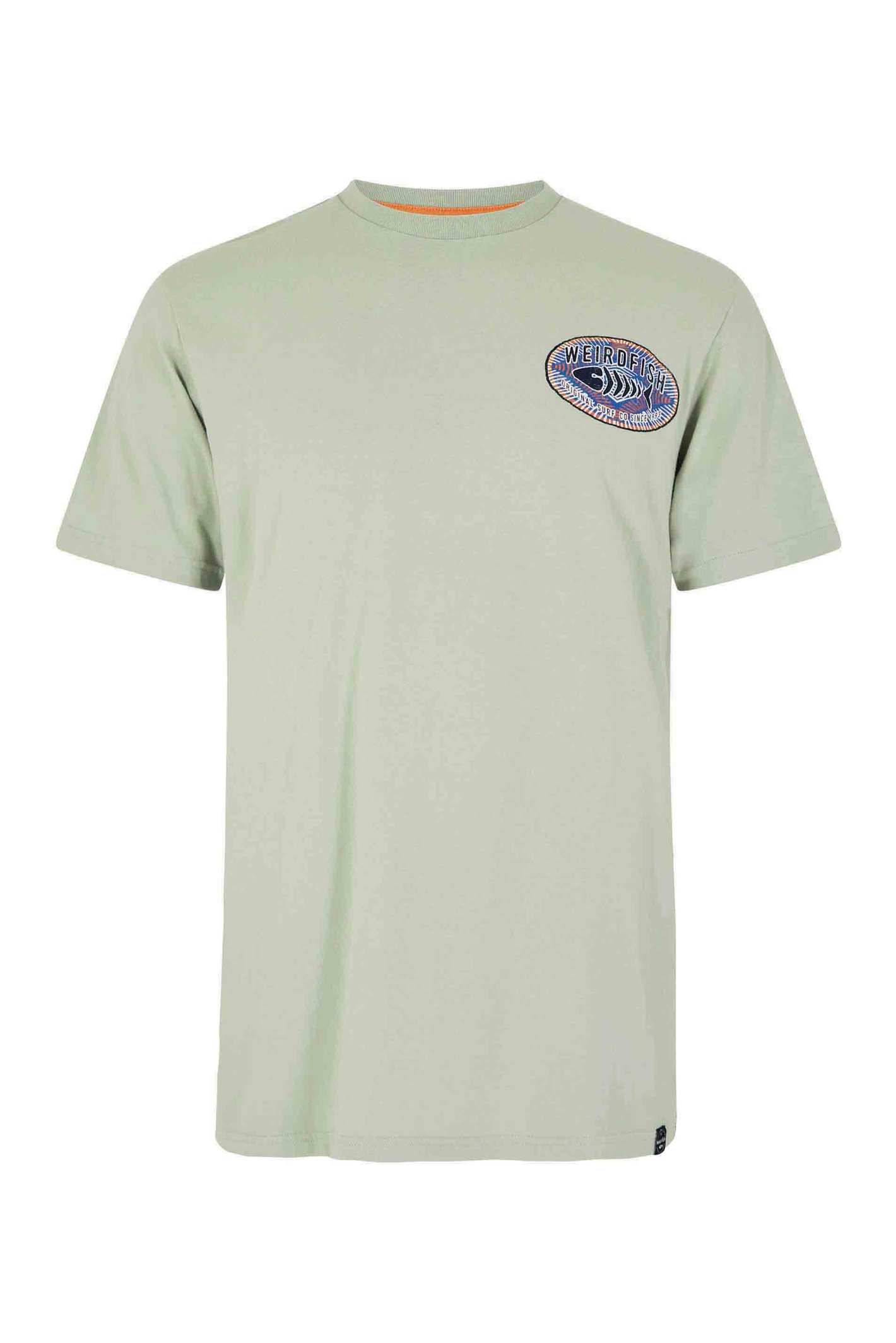 Weird Fish Original Surf Graphic T-Shirt Pistachio Size 4XL
