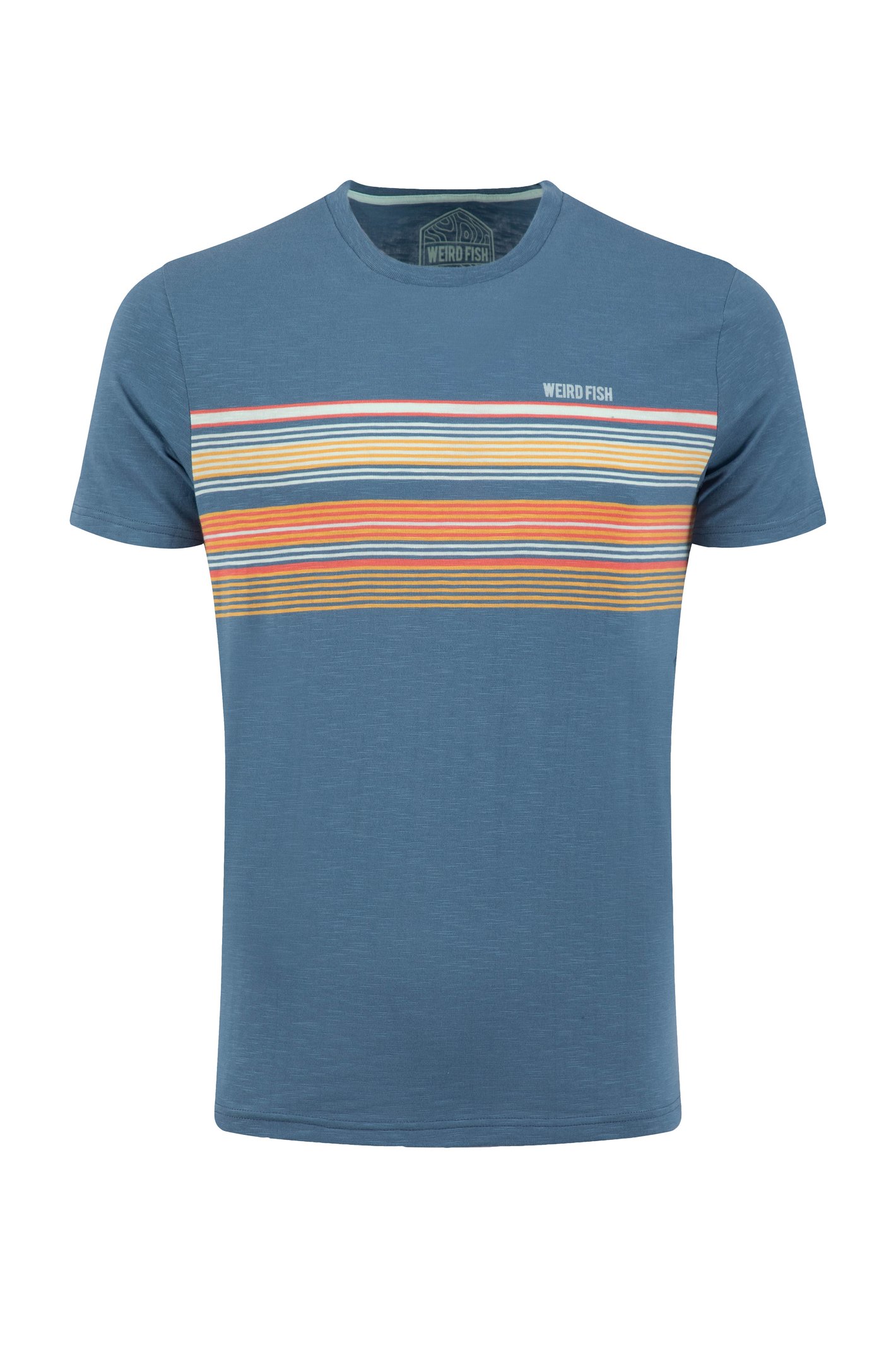 Weird Fish Cody Printed Stripe T-Shirt Washed Blue
