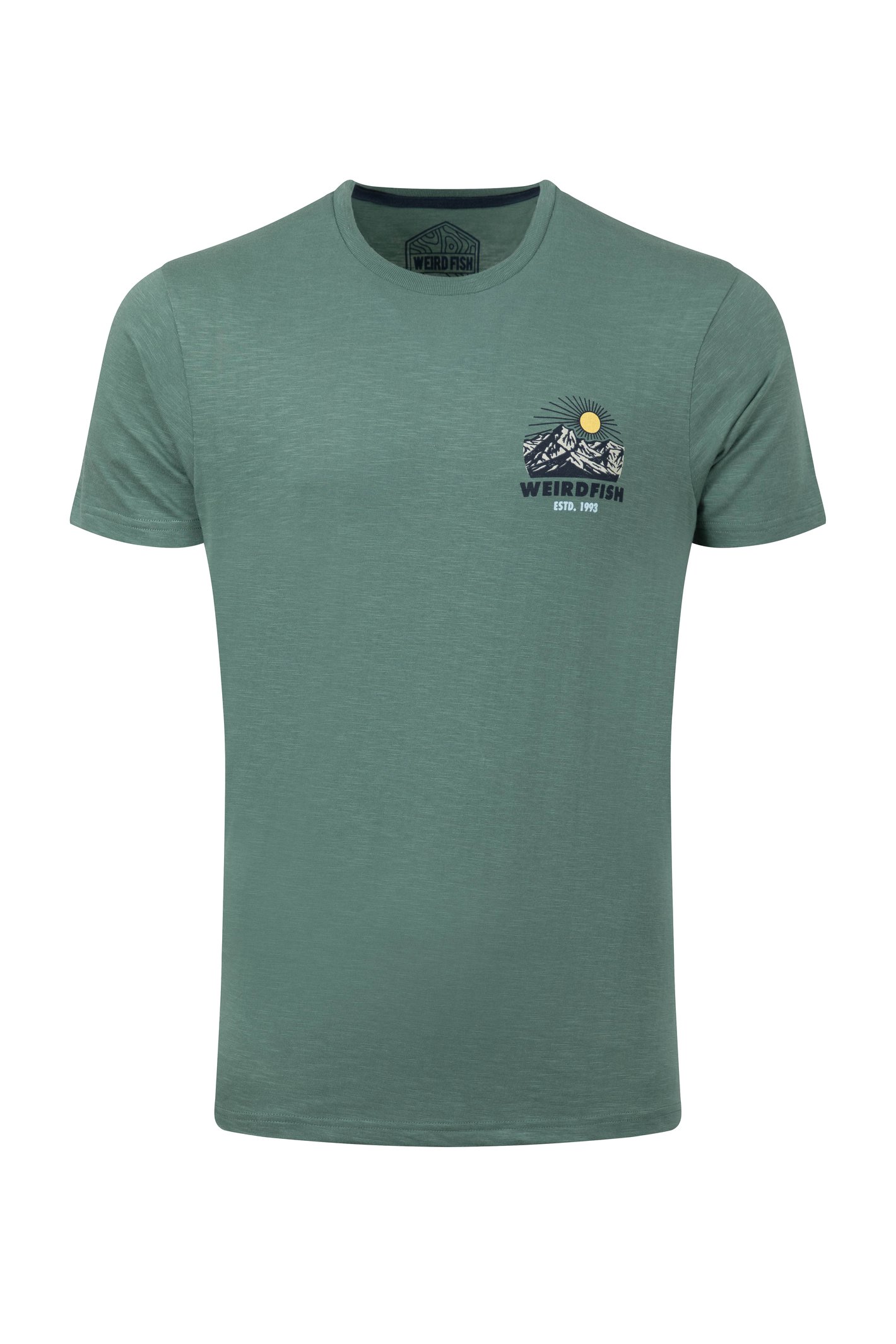 Weird Fish Lake District Back Print Graphic T-Shirt Dusky Green