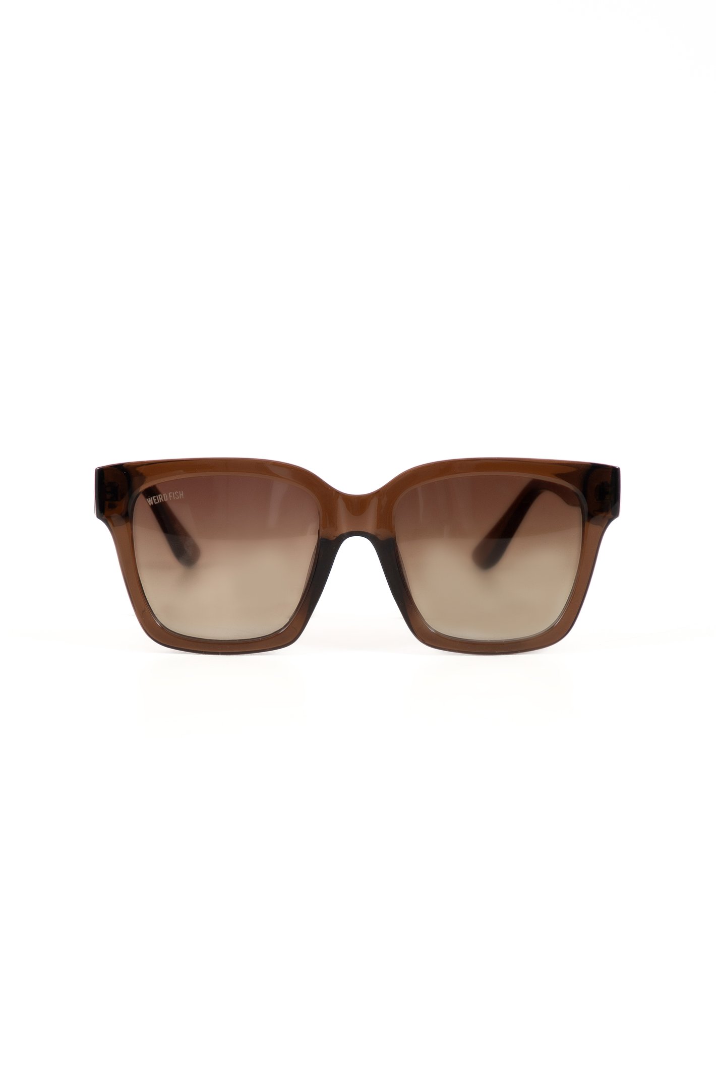 Weird Fish Torvill Sunglasses Brown
