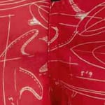 Belukha Printed Swim Shorts   Radical Red