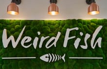 weird-fish-wall_06.jpg