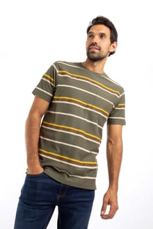 Herne Organic Cotton Stripe T-Shirt