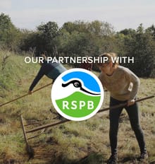 Our partnership with RSPB