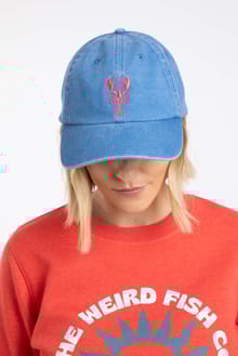 Tabby Embroidered Twill Cap Faded Blue