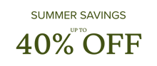 Summer Savings Text.png