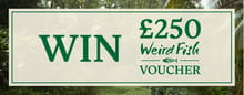 SEPT_WF_250_VOUCHER_WEB_MB.jpg