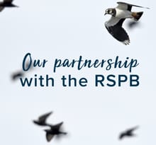 rspb tile v2.jpg