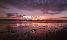 Weird Fish Sustainability