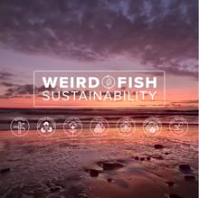 Weird Fish Sustainability