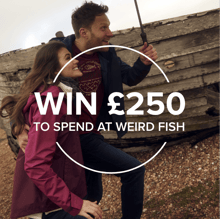 Win £250 to spend at Weird Fish