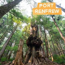 port renfrew 2.jpg