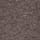 Heritage Surf Front Print Eco Graphic T-Shirt Hot Chocolate