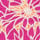 Sidra Printed Jersey Slub Tunic Gerbera