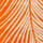 Kissimmee Printed Top Orange Peel