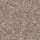Fished Branded T-Shirt Mocha