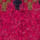 Tulips Floral Fair Isle Jumper Foxglove