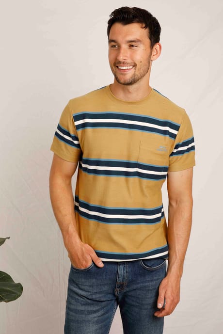 Littleton Organic Herringbone Stripe T-Shirt