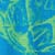Pineapple Express Organic Cotton Front Print T-Shirt Lagoon Blue