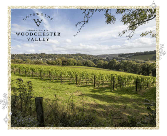 Woodchester Competition Popup