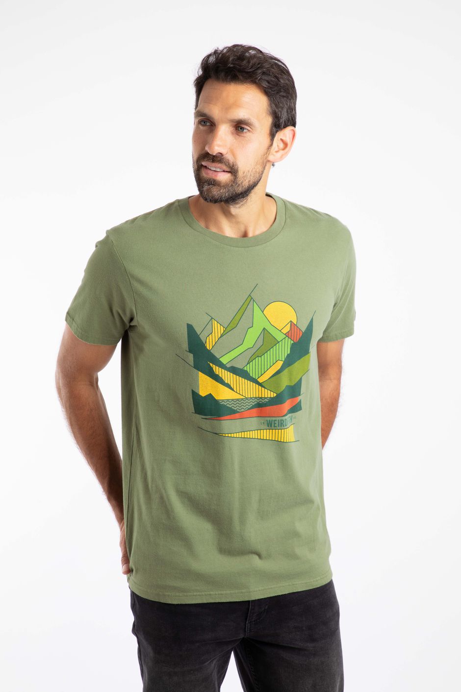 Aspect Mountains Hertitage Wash Graphic Tee Artichoke