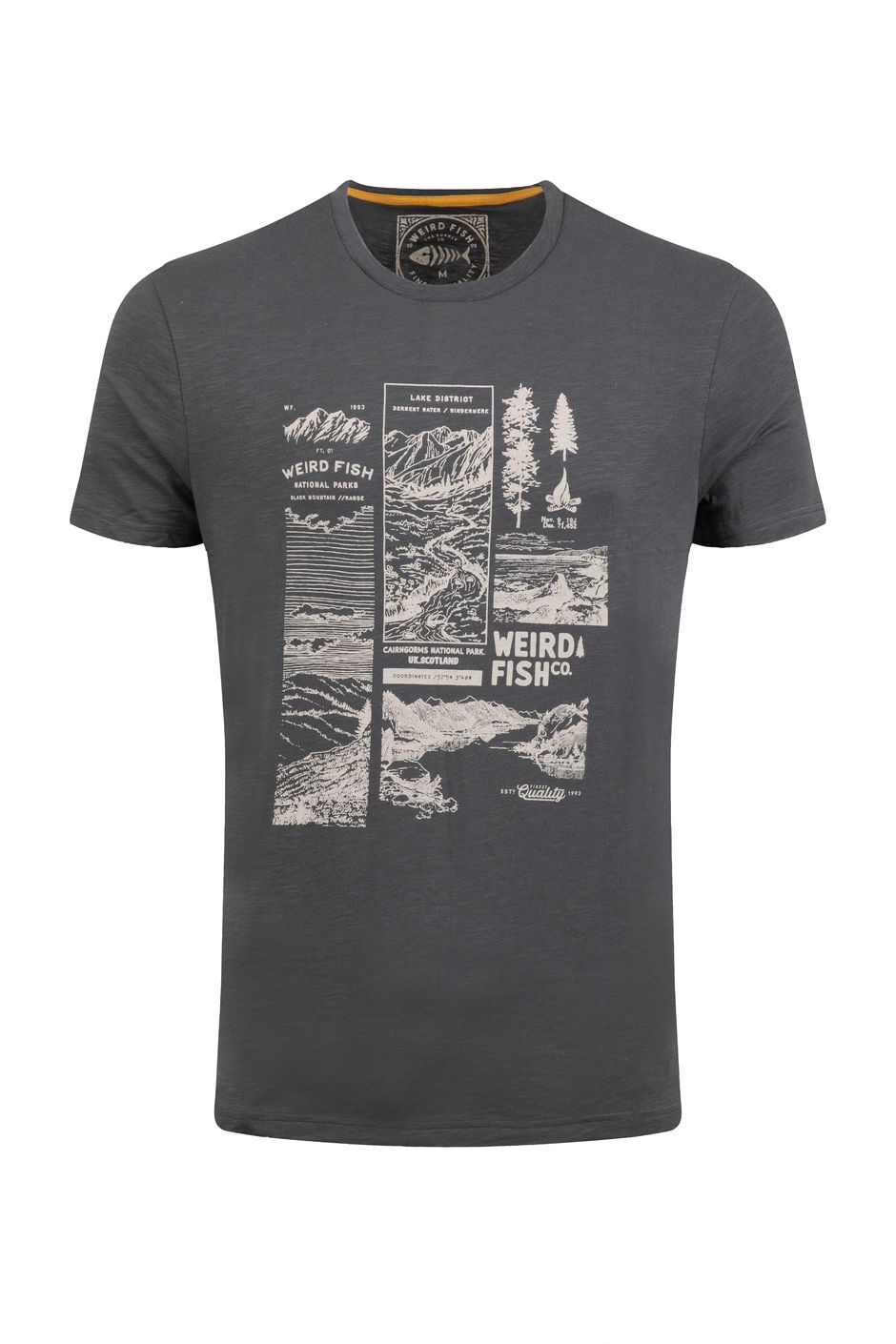 National Parks Front Print Graphic T-Shirt Iron Stone