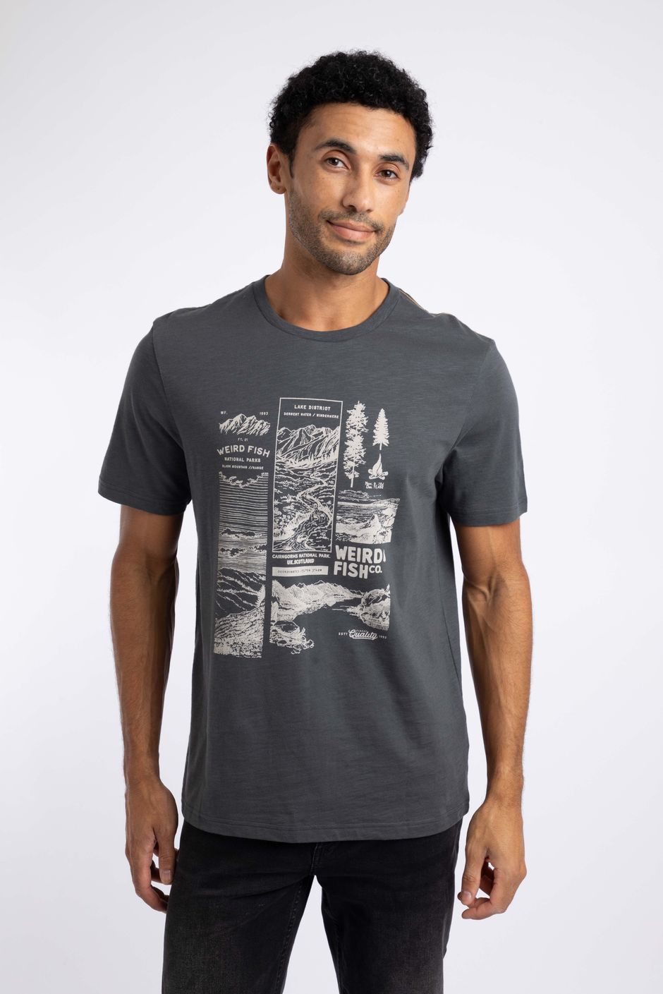National Parks Front Print Graphic T-Shirt Iron Stone